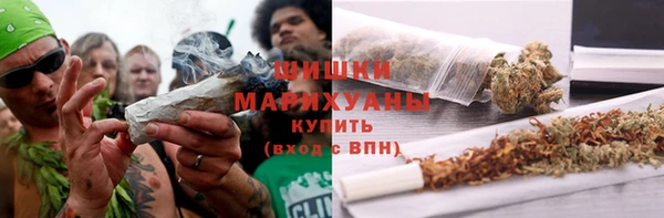 СК Михайлов
