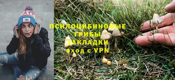 спиды Абдулино