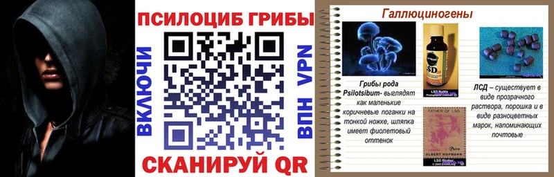 Галлюциногенные грибы прущие грибы Холмск